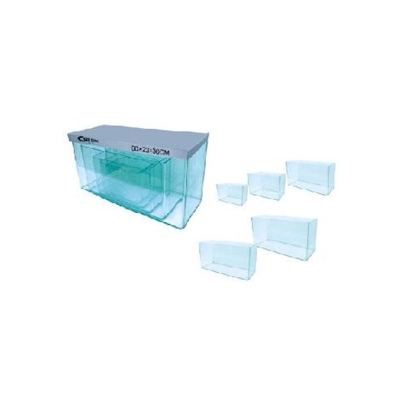 Acuario de cristal para peces.