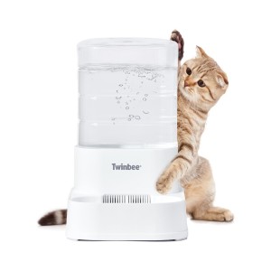Simpática imagen de un gato junto al bebedero