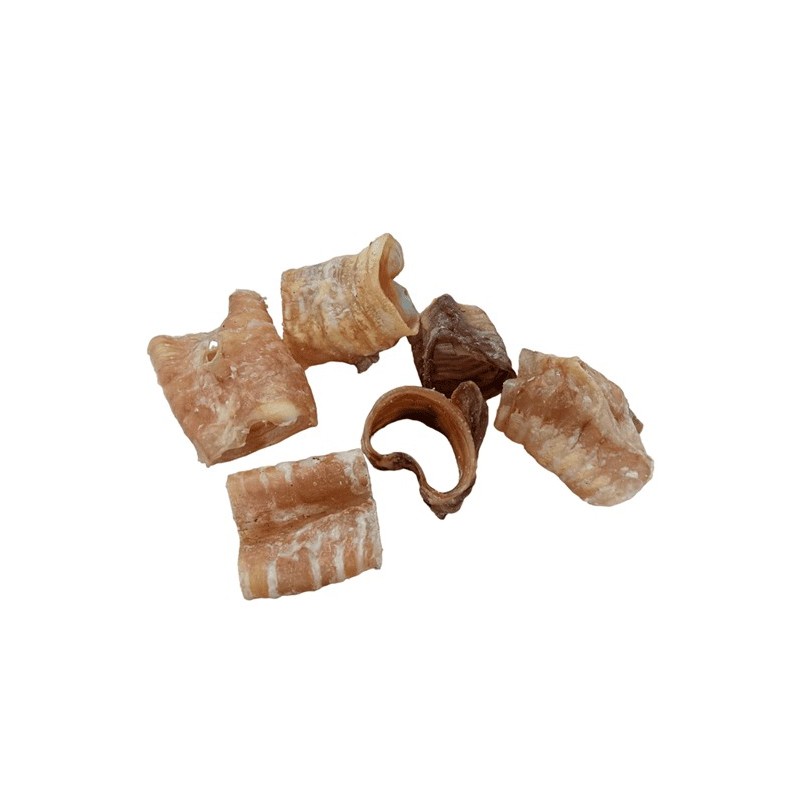 Fresh Raw Traquea de búfalo natural pequeña 3-8cm.
