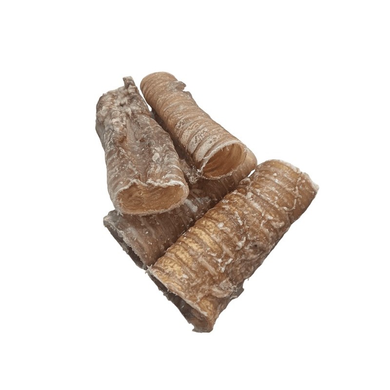 Fresh Raw Traquea de búfalo natural 12-15cm
