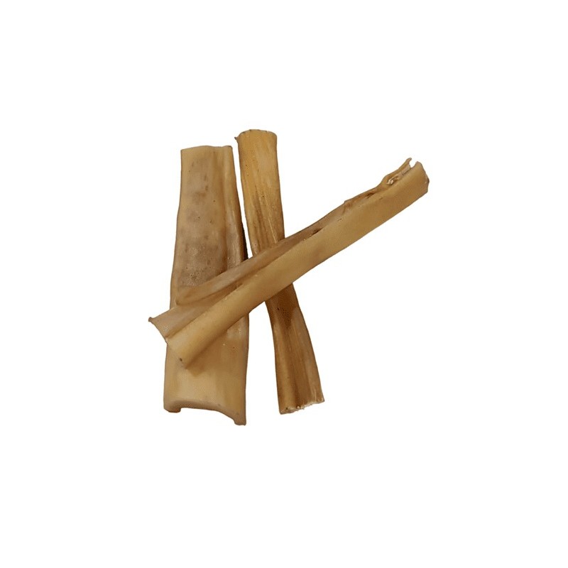 Fresh Raw Natural Buffalo Skin 12-15cm