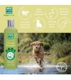 Features and benefits of the Tea Tree Natural Anti-Itch Shampoo for Dogs 1L
