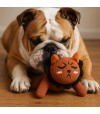 Bulldog jugando con un peluche