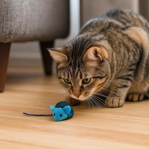 Gato jugando con pelota de color azul.