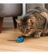 Gato jugando con pelota de color azul.