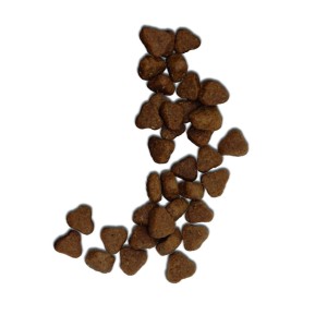 Imagen de las croquetas de alimento seco.