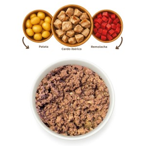 4 boles con patata, cerdo iberico, remolacha y alimento húmedo para perro.