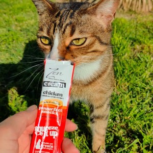 Gato atigrado chupando crema a través de un envase de color blanco y naranja.