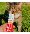 Gato atigrado chupando crema a través de un envase de color blanco y naranja.