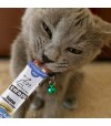 Gato de color gris chupando zen crema de un envase de color blanco y azul.