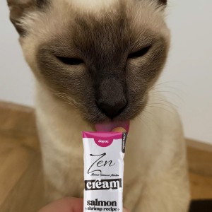 Gato de color marrón lamiendo un envase de zen cream salmón. Envase de color blanco y morado.