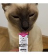 Gato de color marrón lamiendo un envase de zen cream salmón. Envase de color blanco y morado.