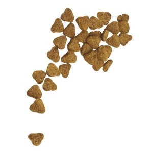 Croquetas de alimento seco para gatos de pollo y tapioca,