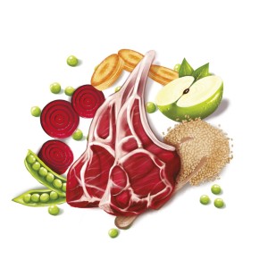 Ingredientes del alimento seco para perros adultos con cordero como ingrediente principal.