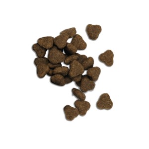 Tamaño y forma de croqueta de alimento seco para perros adultos con cordero como ingrediente principal.