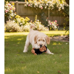 Perro jugando con peluche con forma de chimpancé.