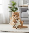 Gato jugando con peluche con forma de unicornio.