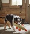 Perro jugando con peluche con forma de pato.