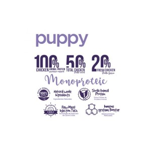 Características de alimento seco para cachorro.