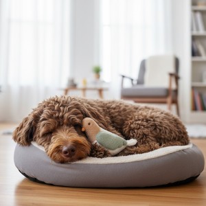 Perro durmiendo con un peluche con forma de paloma.