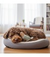 Perro durmiendo con un peluche con forma de paloma.