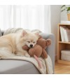 Perro durmiendo con peluche con forma de ratón