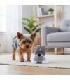 perro jugando con peluche con forma de koala.