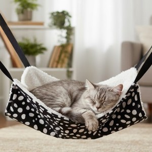 Gato durmiendo en hamaca colgante.