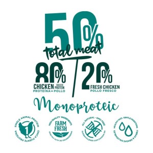 Características y beneficios del alimento seco para perros senior.