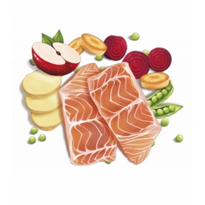 Ilustración de los ingredientes del alimento seco para perros adultos con salmón como ingrediente principal.