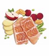 Ilustración de los ingredientes del alimento seco para perros adultos con salmón como ingrediente principal.