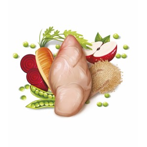 Ingredientes del alimento seco para perros adultos.