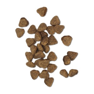 Imagen de croqueta para perro senior.