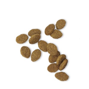 Croqueta de alimentación seca para perros de Fresh Complete