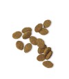 Croqueta de alimentación seca para perros de Fresh Complete