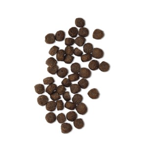 Croquetas para perro cachorro puppy.