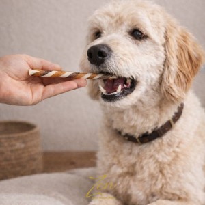 Perro comiendo un snack de colágeno.