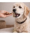 Perro comiendo un snack de colágeno.