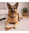 Perro disfrutando de snack funcional de colágeno