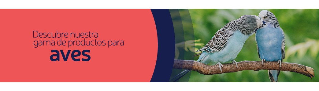 Mélanges, produits et accessoires pour tous types d'oiseaux.