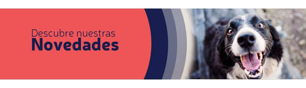 News - Discover the latest in Dapac products