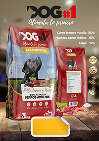 DogOne-AltaEnergia_HojaVendedora_v6e.jpg