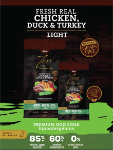 Ficha-tecnica-ZGF light.