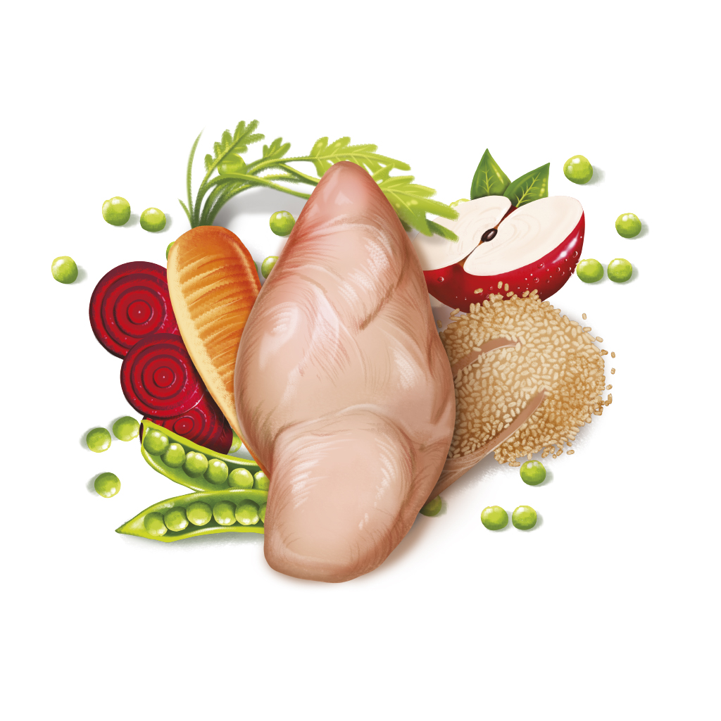Imagen de ingredientes del Fresh Senior