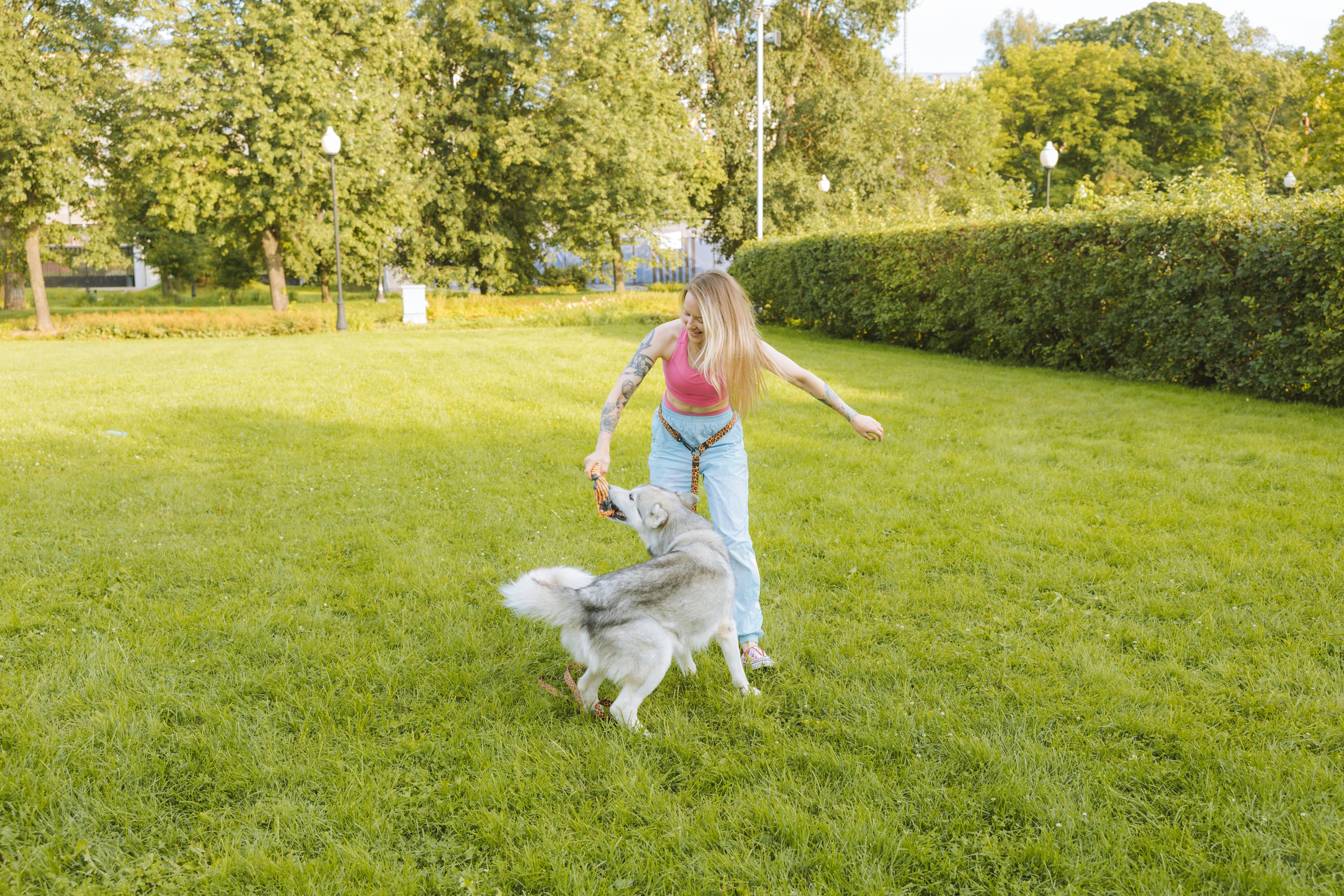 perro jugando en el parque con su tutora