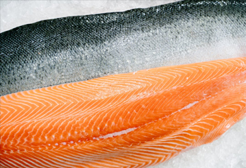 Salmón para alimento seco monoproteico