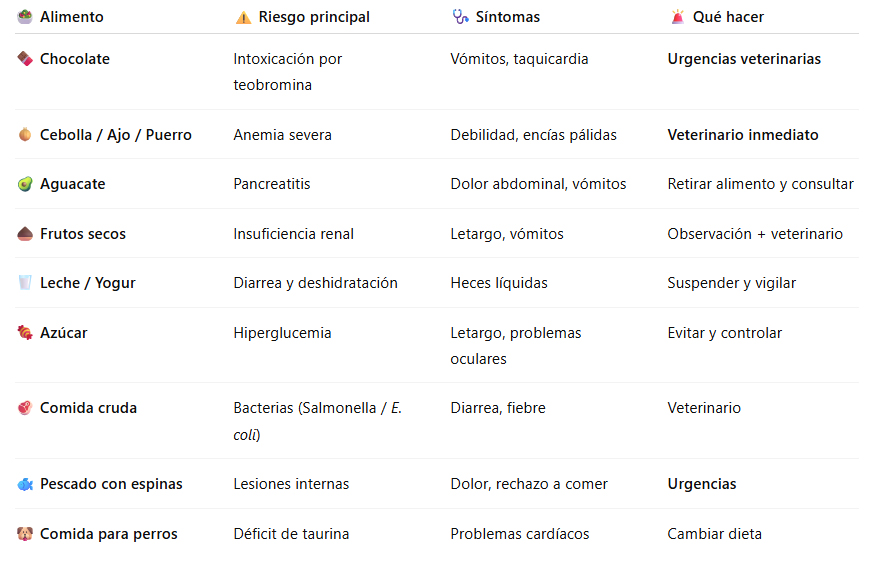 Tabla alimentos prohibidos para gato