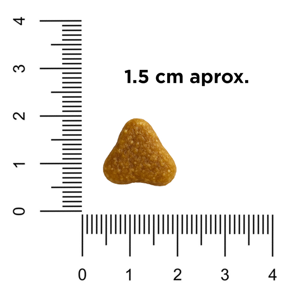 Regla con croqueta para perro