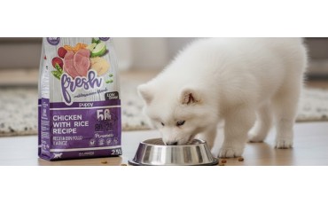 Trigo y perros: ¿sí o no? Guía práctica (con alternativas Low Grain sin trigo)