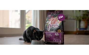 Alimento seco para gatos esterilizados: guía rápida.